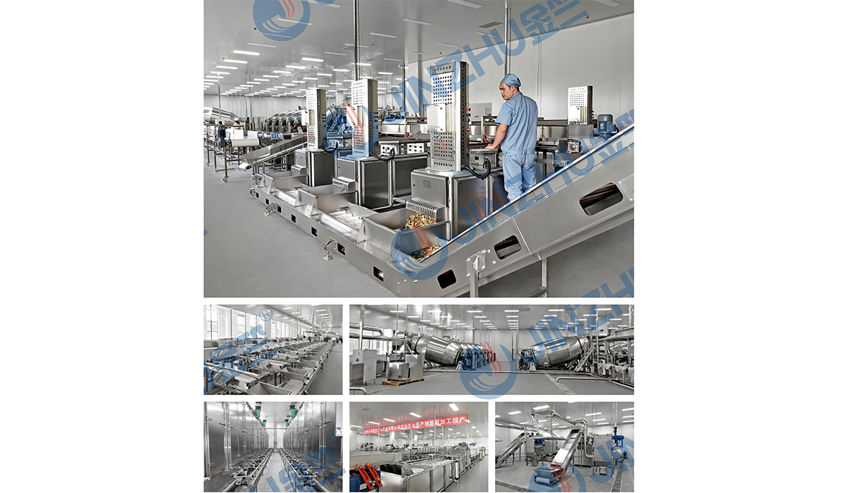 云南白藥文山三七初加工項目